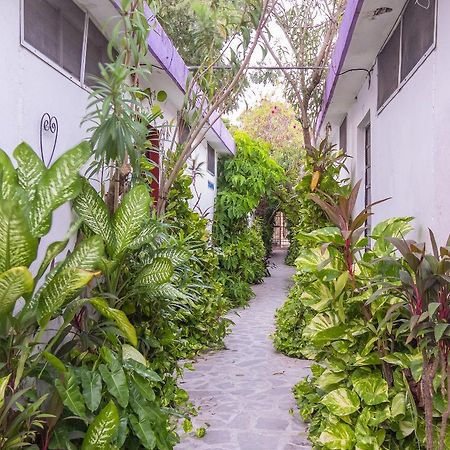Hotel Aventura Mérida Buitenkant foto