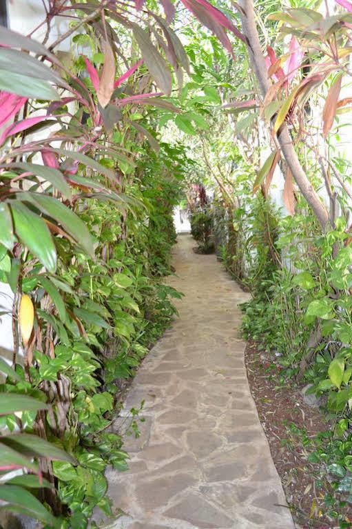 Hotel Aventura Mérida Buitenkant foto
