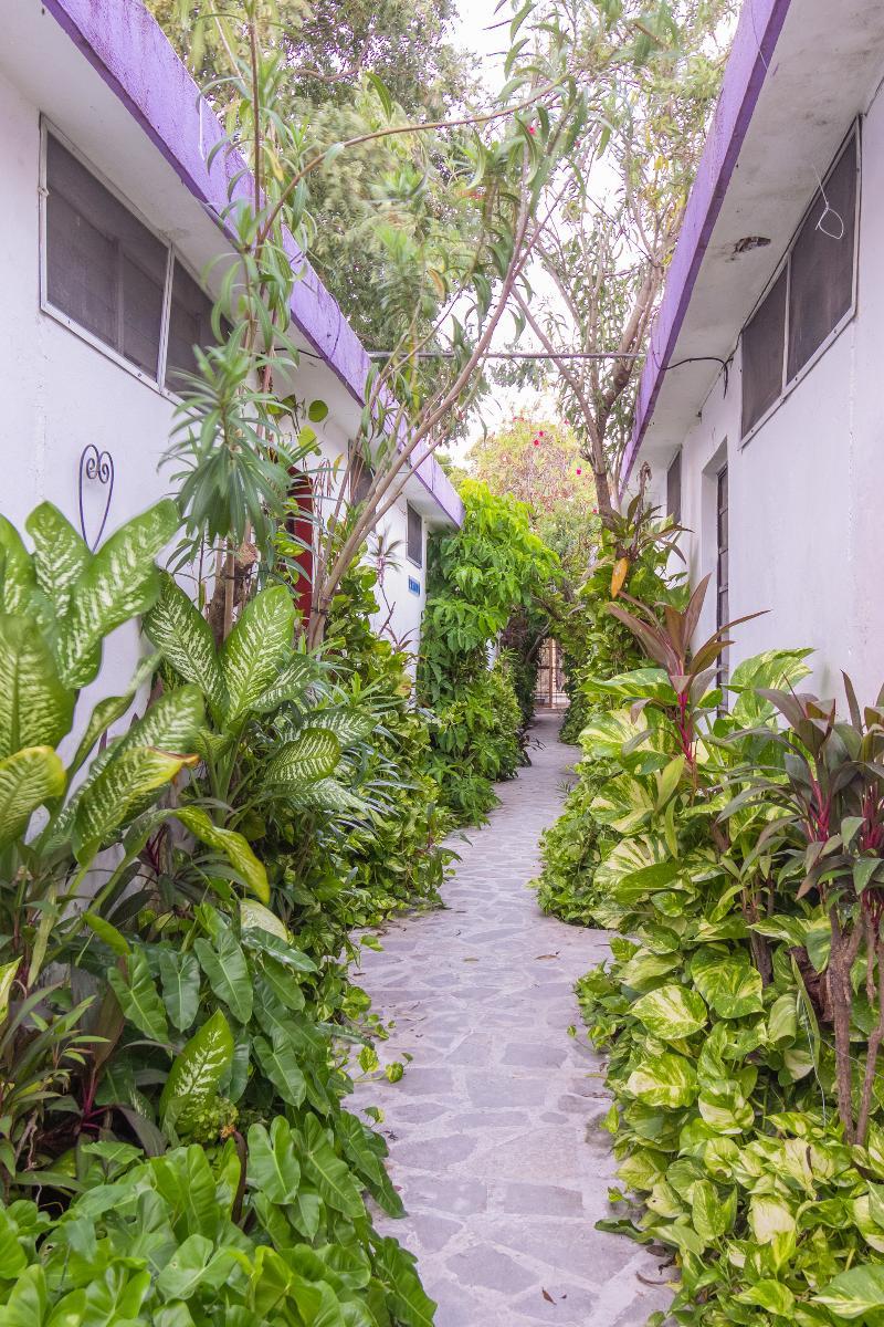 Hotel Aventura Mérida Buitenkant foto